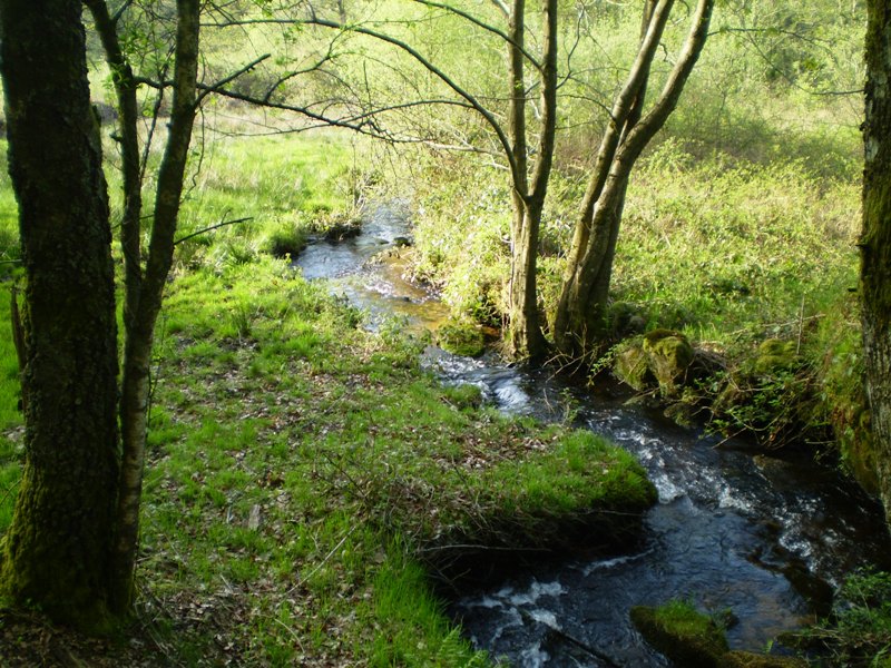 La Couze à Saint-Léger-la-Montagne